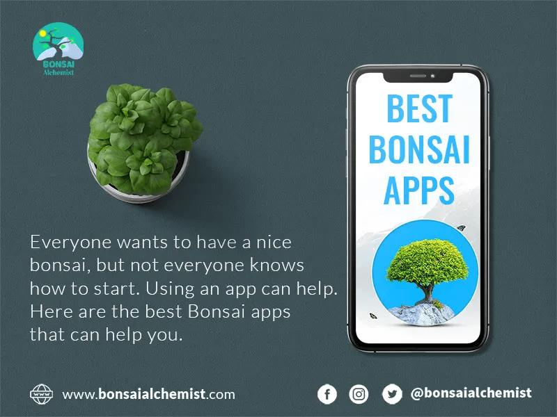 Choose The Right Bonsai Apps Bonsai Tree Care