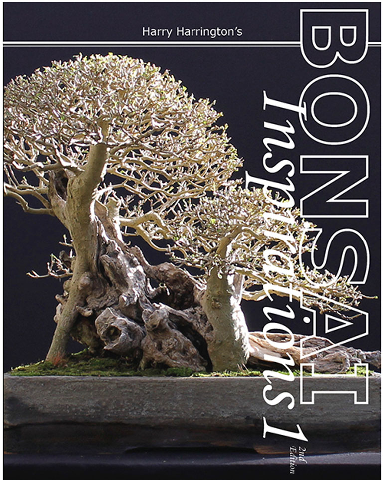 Bonsai Bark Promoting and Expanding the Bonsai Universe Page 51