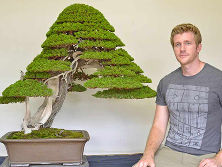 Brad Pitt, Bonsai Artist? Bonsai Bark