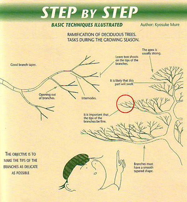 A Perfect Example of What Great Ramification Looks Like & a Series of