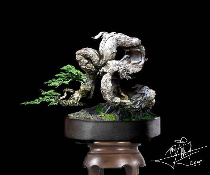 Bonsai Paradise Bonsai Bark