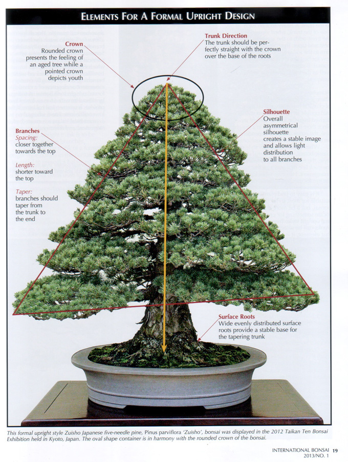 Keeping It Close to Home Bonsai Events Bonsai Bark