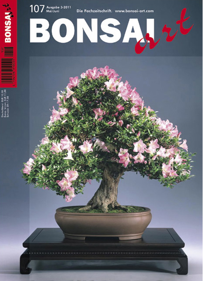 The Great ‘Is Bonsai Art?’ Debate Bonsai Bark