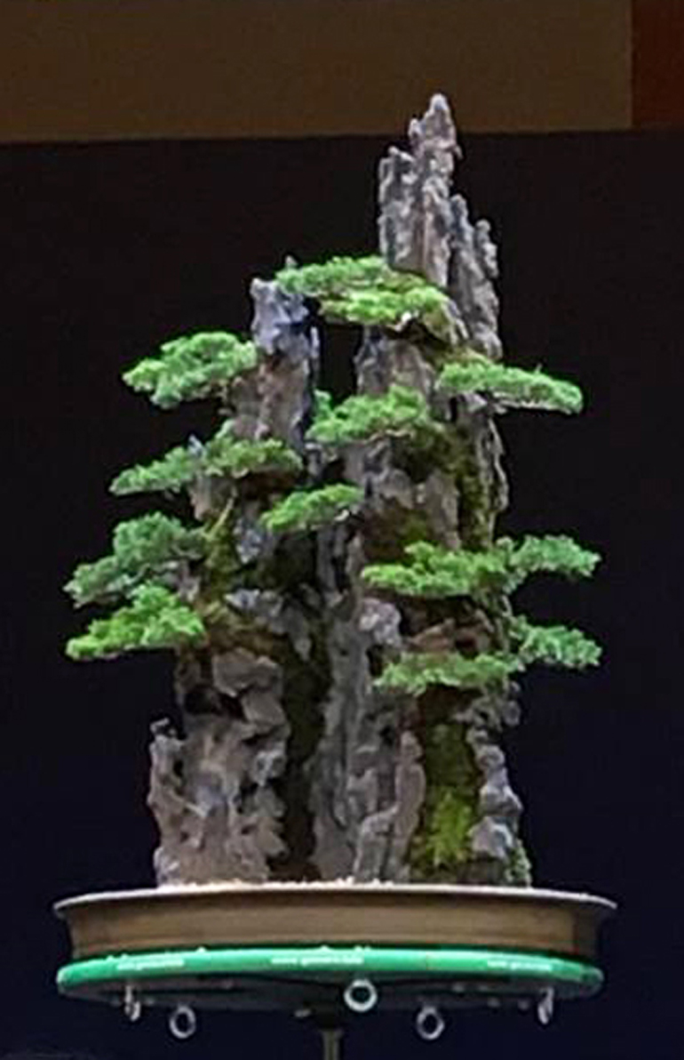 Famous Bonsai Artists, their Demo Trees & the Omnipresent Green T