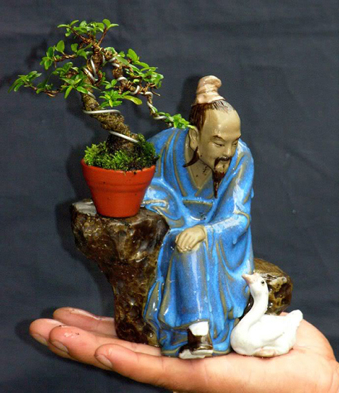 Strange & Wonderful Bonsai Bonsai Bark