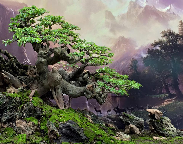 Another ‘Newly Discovered’ Bonsai Artist Bonsai Bark