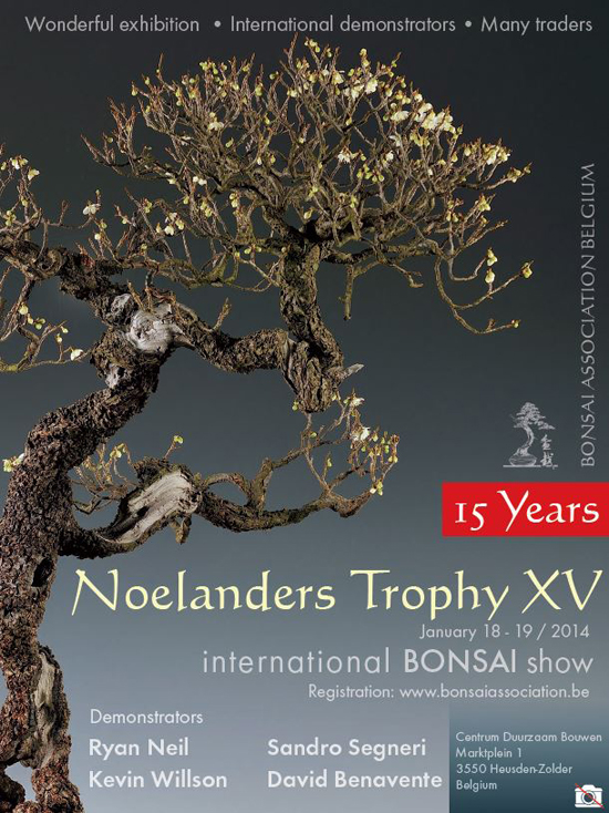 A Good Year for Bonsai Events Bonsai Bark