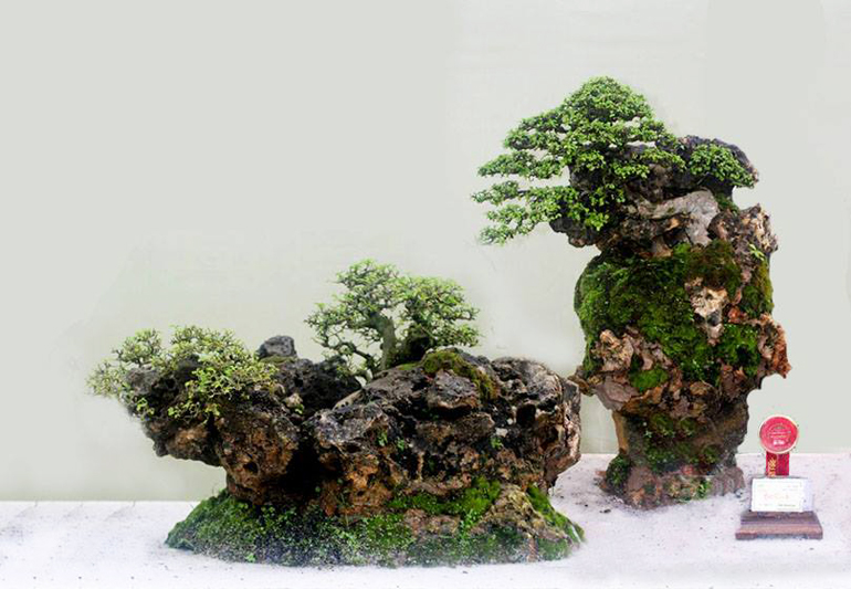 Bonsai on the Rocks Bonsai Bark