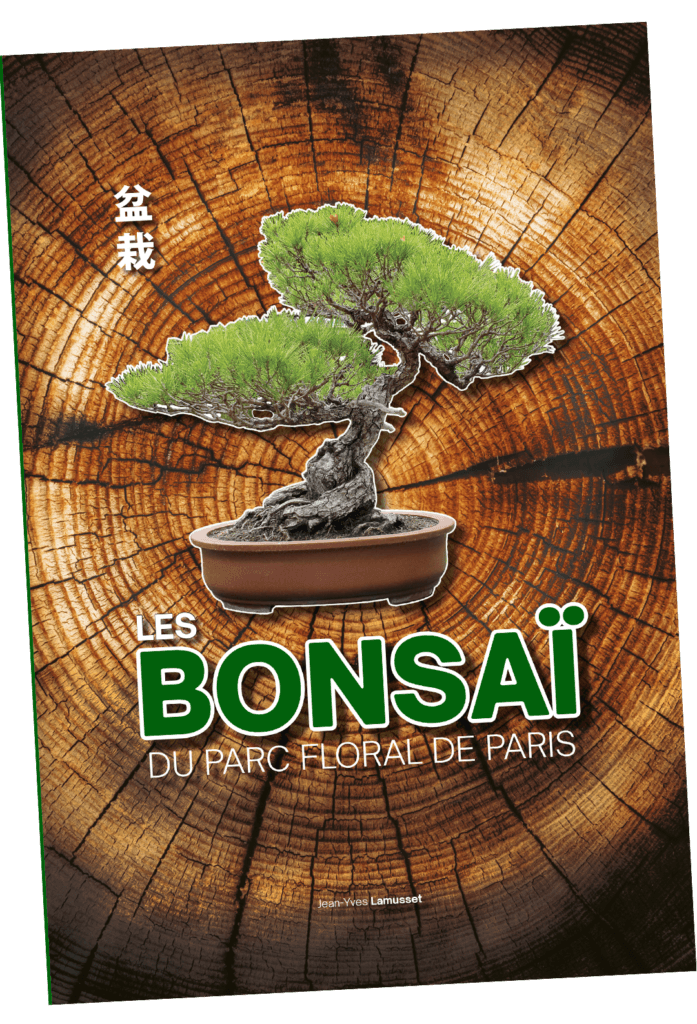 LES BONSAÏ DU PARC FLORAL DE PARIS Bonsaï Culture