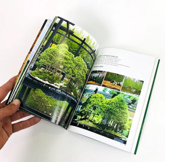 LES BONSAÏ DU PARC FLORAL DE PARIS Bonsaï Culture
