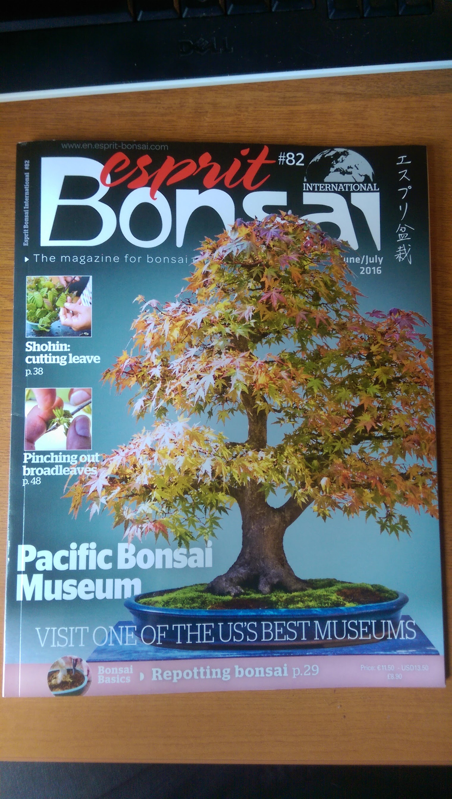Esprit Bonsai Magazine Bonsai Eejit