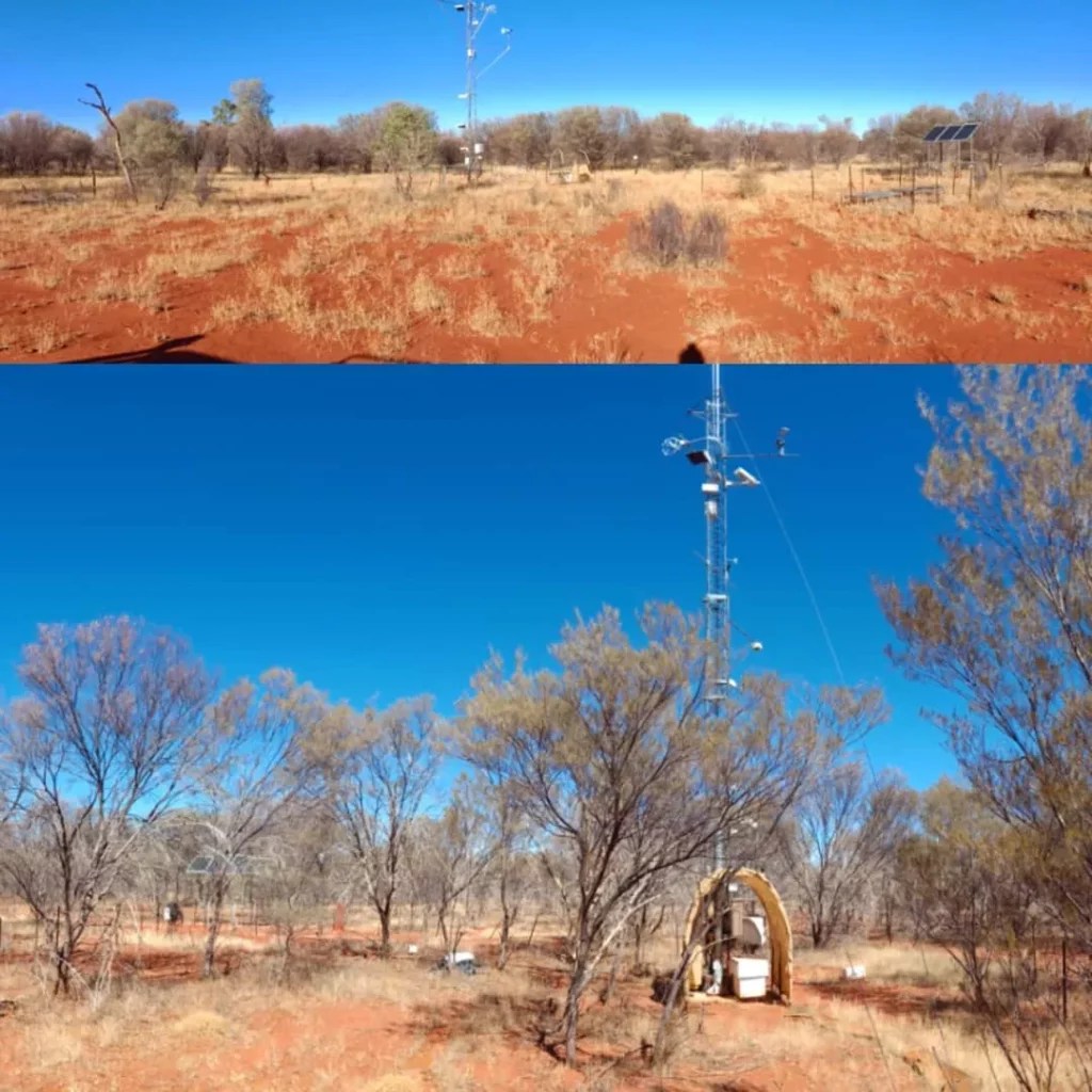 Mulga Pro Tips for Perfect Care