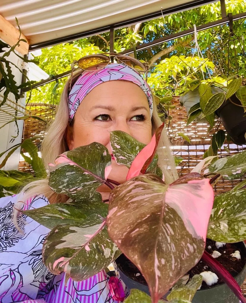 Philodendron Pink Princess Splash Care Tips