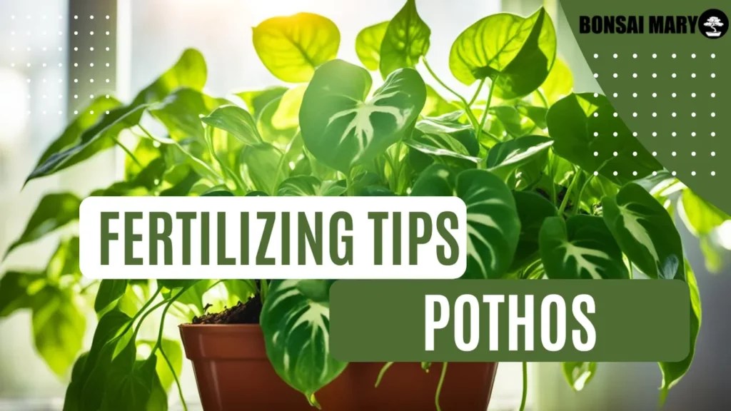 How Often Should You Water Bonsai Essential Tips for Lush Growth