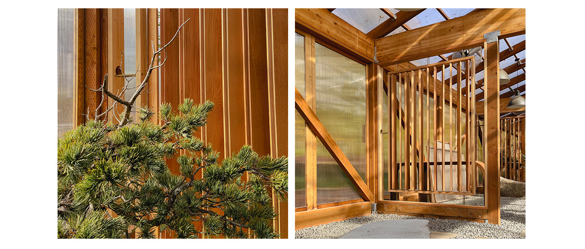 Bonsai Mirai Greenhouse Evolution Bonsai Mirai