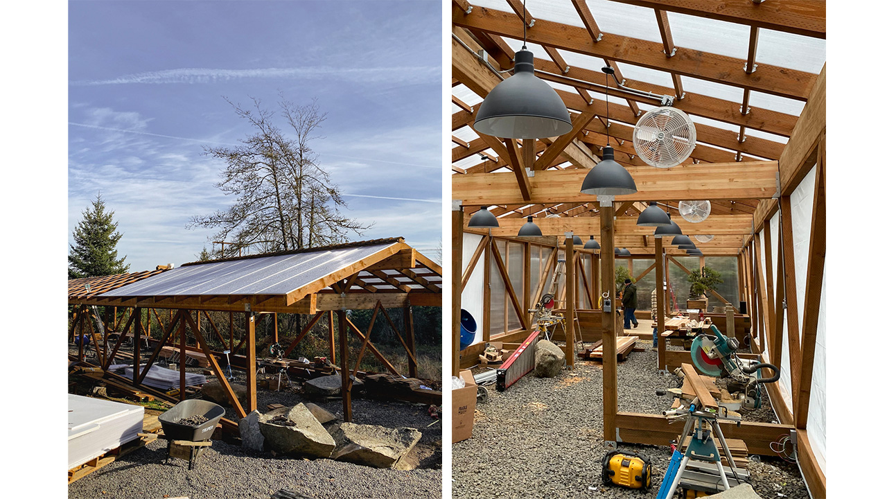 Bonsai Mirai Greenhouse Evolution Bonsai Mirai