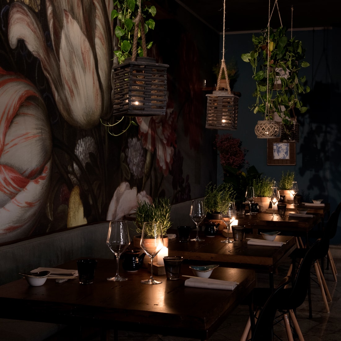 Bonsai Sushi Lounge Asolo Home