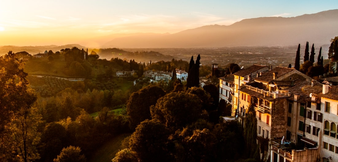 Bonsai Sushi Lounge Asolo Home