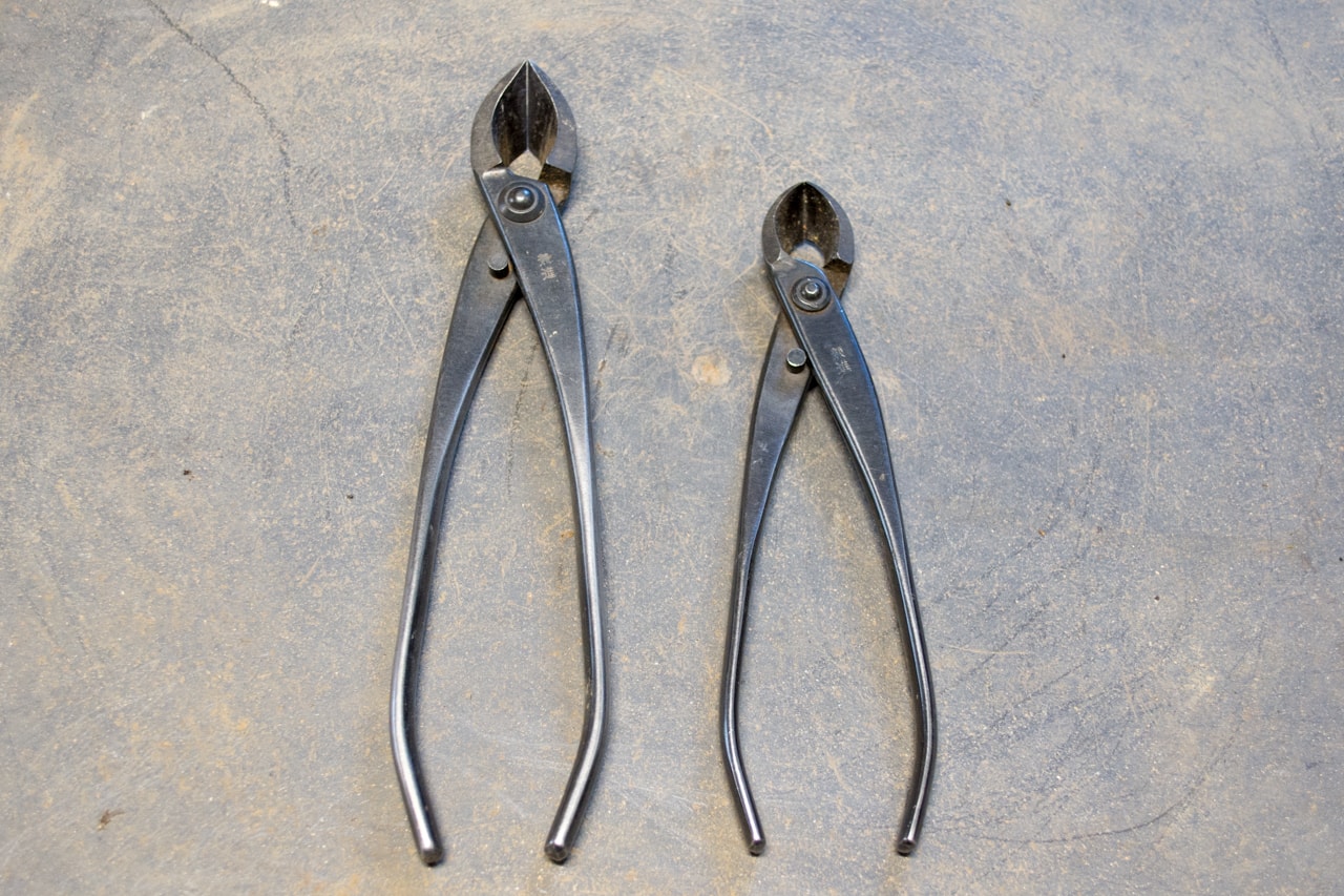 Tips for using basic bonsai tools Bonsai Tonight