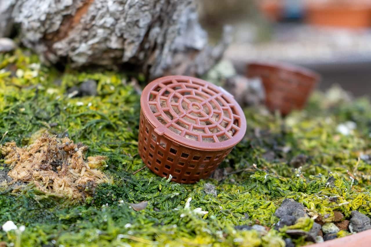 Buy online here 20 pc fertilizer baskets,fertilizer orchid basket