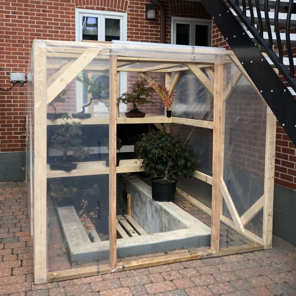 Winter care for bonsai Bonsai Tonight