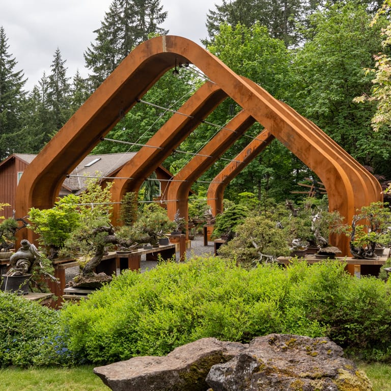 A visit to Bonsai Mirai Bonsai Tonight