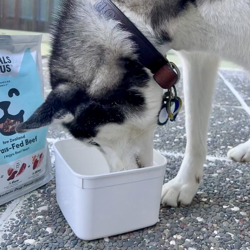 Food container creativity 7 ideas for repurposing food packaging