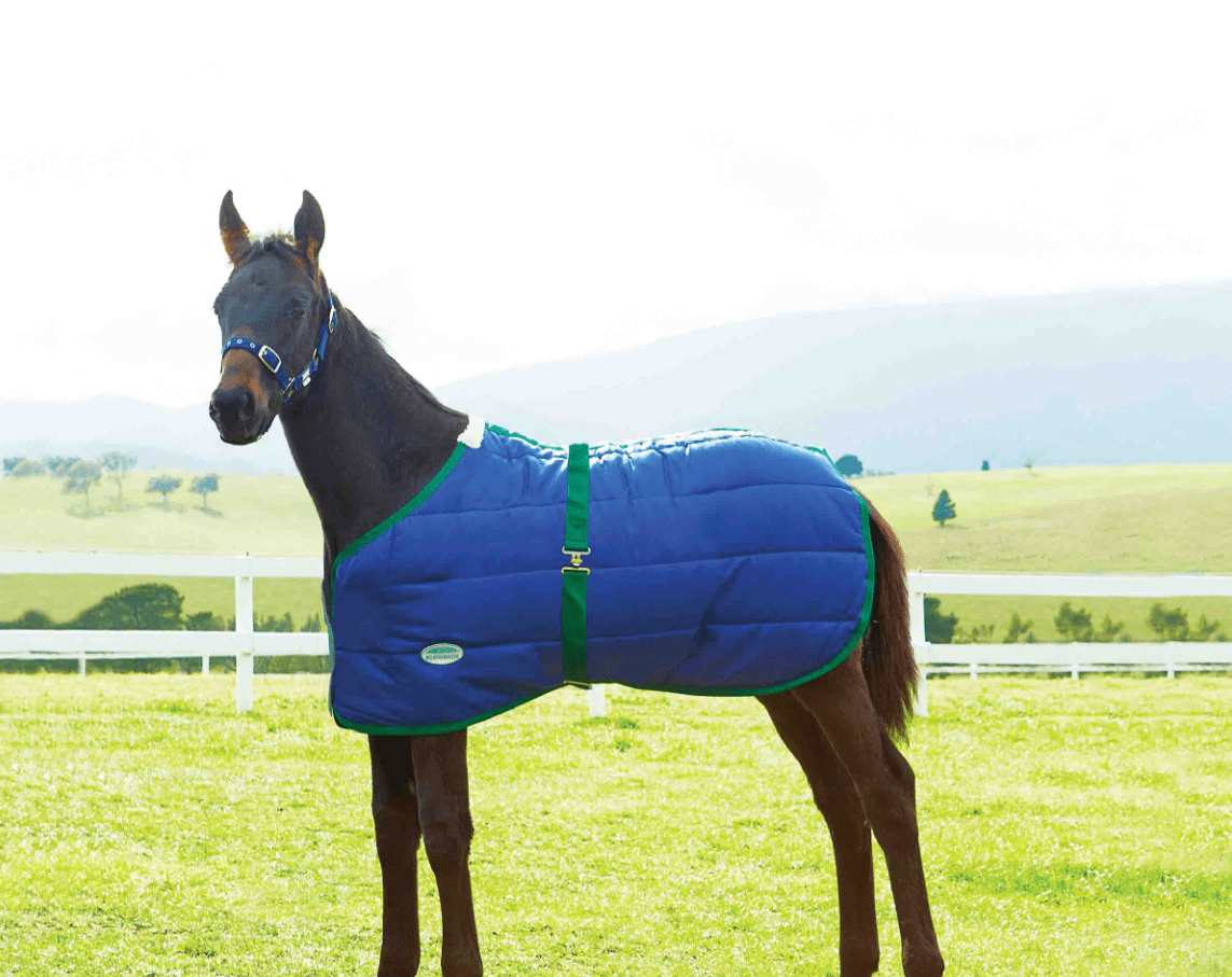 WEATHERBEETA® 420D FOAL STANDARD NECK MEDIUM BLANKET Bony Pony