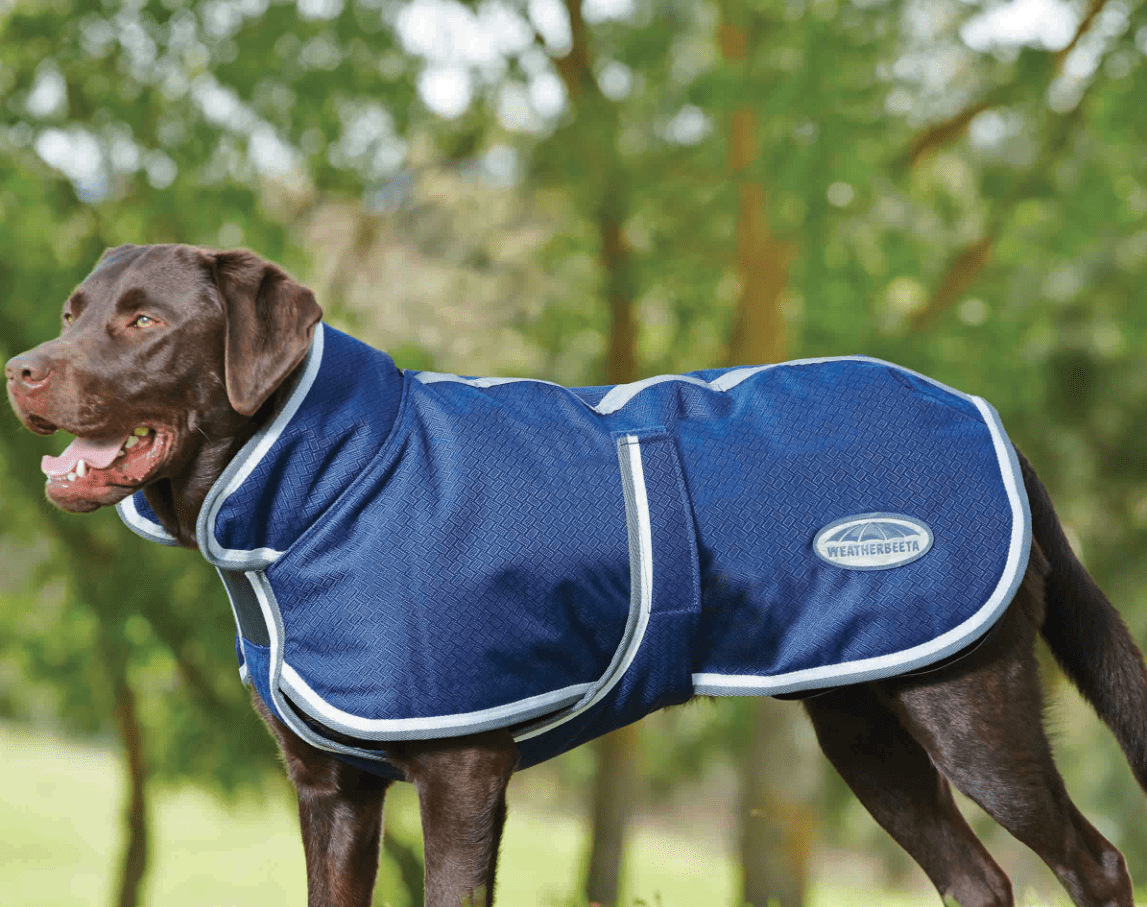 WEATHERBEETA COMFITEC PARKA 1200D DELUXE DOG COAT Bony Pony