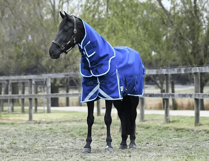 WEATHERBEETA® ULTRA TOUGH DETACH NECK MEDIUM LITE TURNOUT Bony Pony