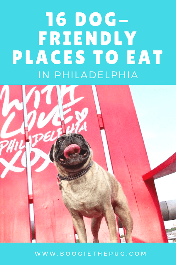 16 DogFriendly Places to Eat in Philadelphia Boogie the Pug