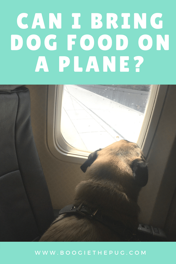 Can You Bring Dog On Plane