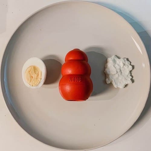 Stuffing a Kong Over 100 Kong Fillers (plus, 10 Easy Recipes) Boogie