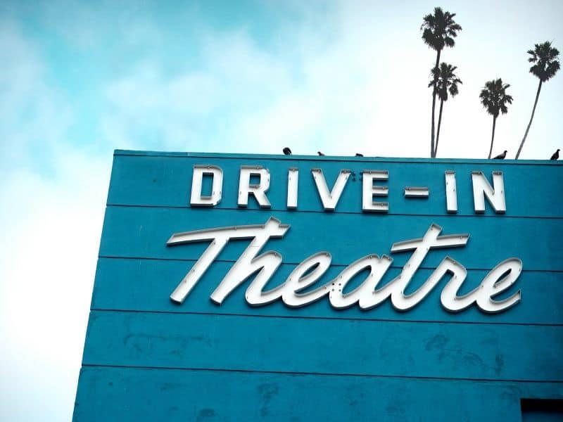 A Complete List of DogFriendly DriveIn Theaters in LA Boogie the Pug