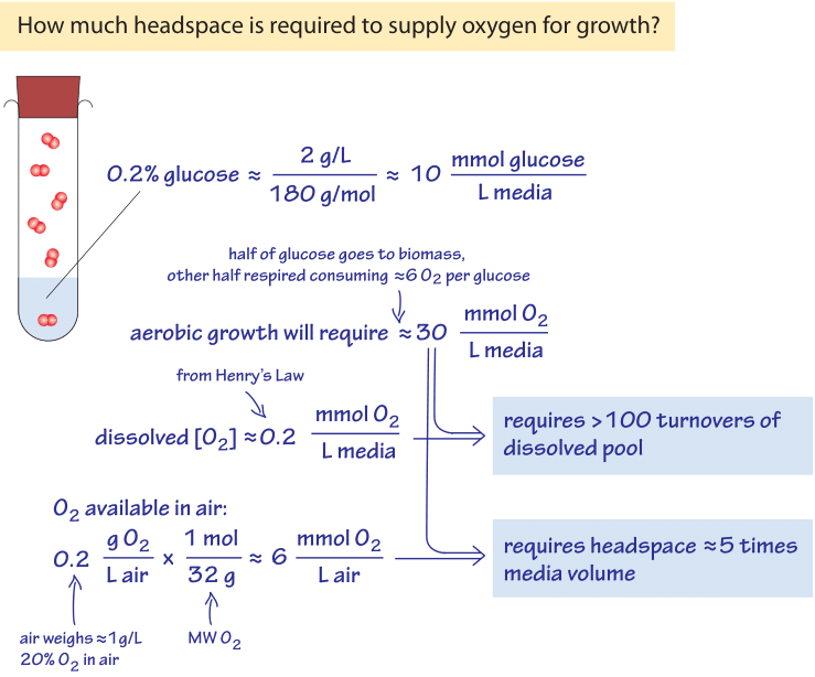 Percent Saturation Of Dissolved Oxygen Equation Tessshebaylo