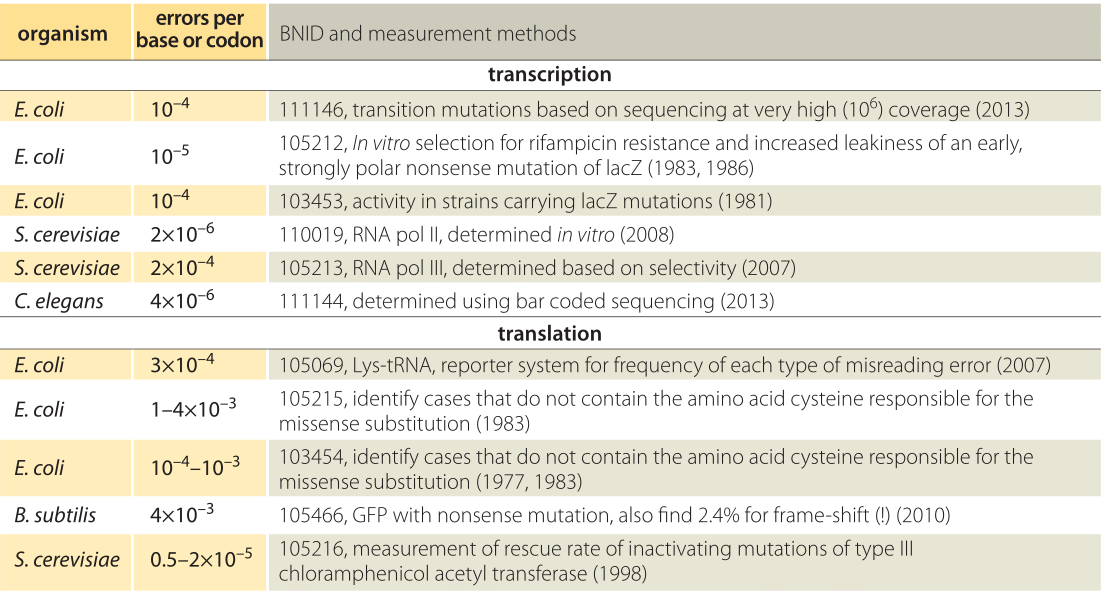 eukaryotic cells Why is translation so much faster in