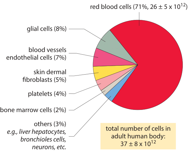 » Preface Cell Biology by the Numbers
