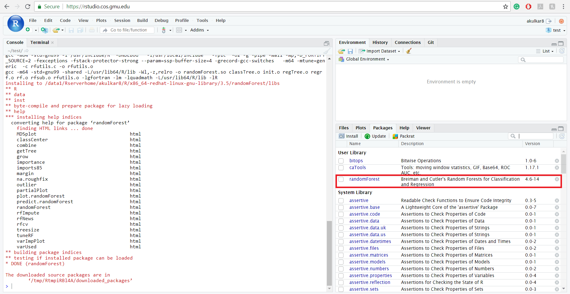 4.5 Installing and updating R packages on RStudio Server Introduction