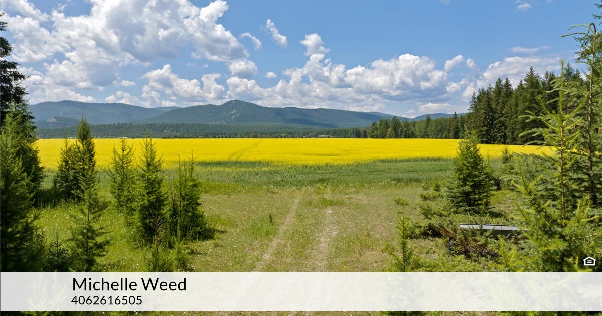 695 Lodgepole Rd, Whitefish, MT 59937