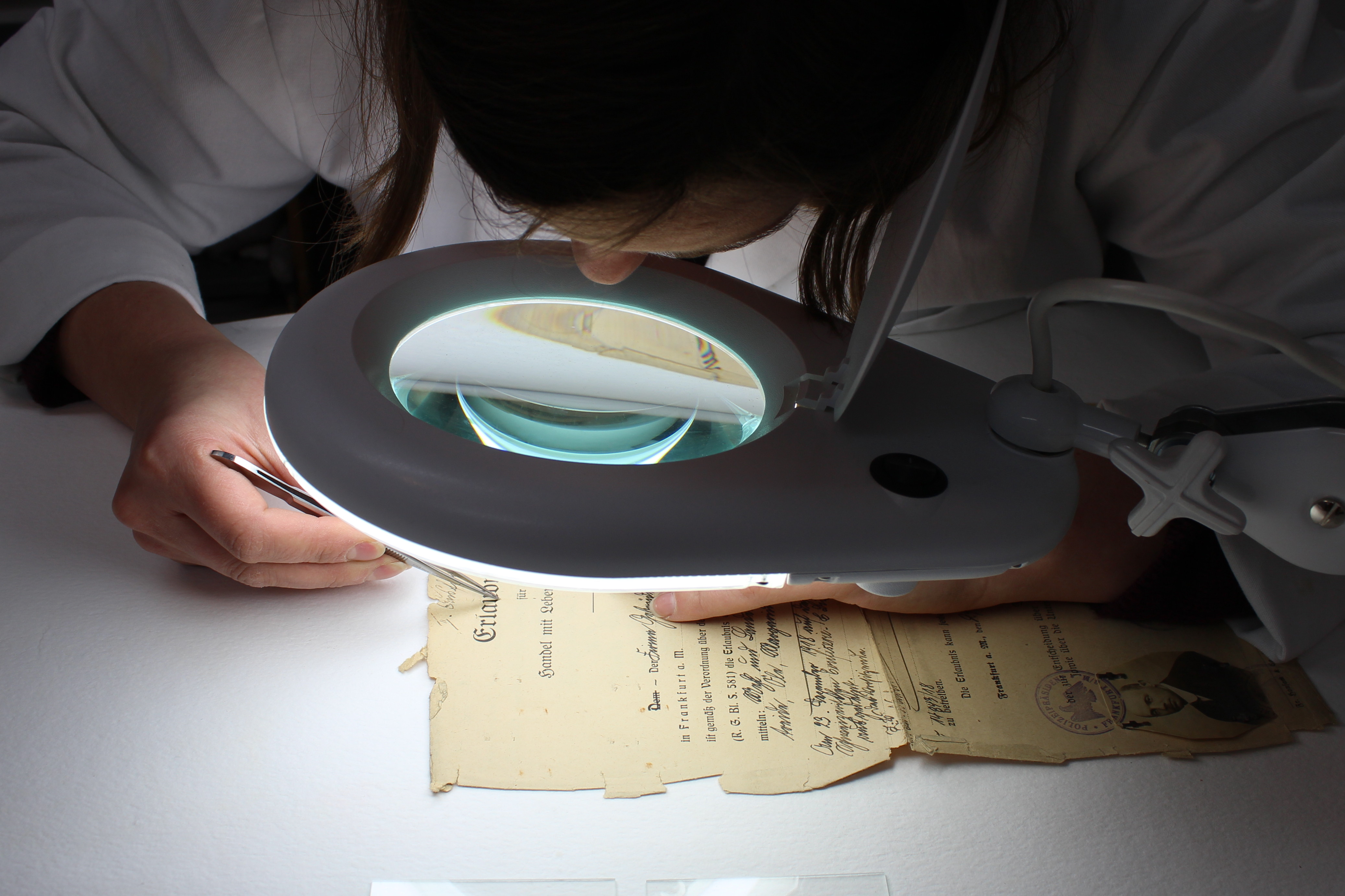 Conservation/Restoration Ubbink Book and Paper Conservation