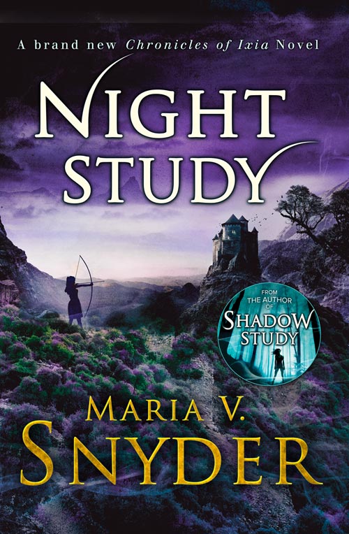 Sunday Spotlight Night Study by Maria V. Snyder Book Binge