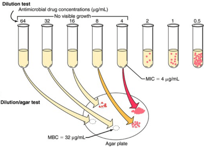 Chapter 8 Controlling Microbes BS2002 Microbiology