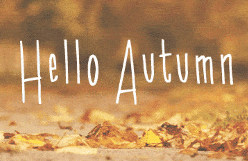 10 Reasons Why Fall Is The Best Season To Read BOOKGLOW
