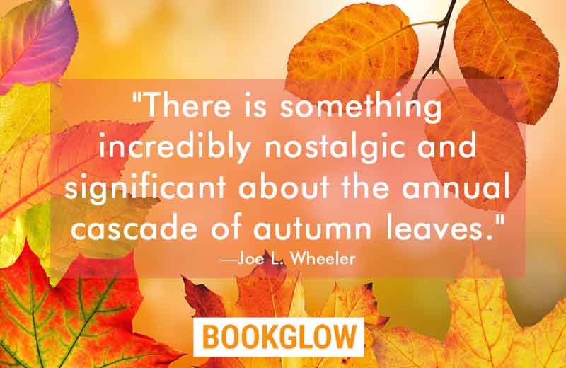12 Of The Best Literary Quotes About Autumn BOOKGLOW