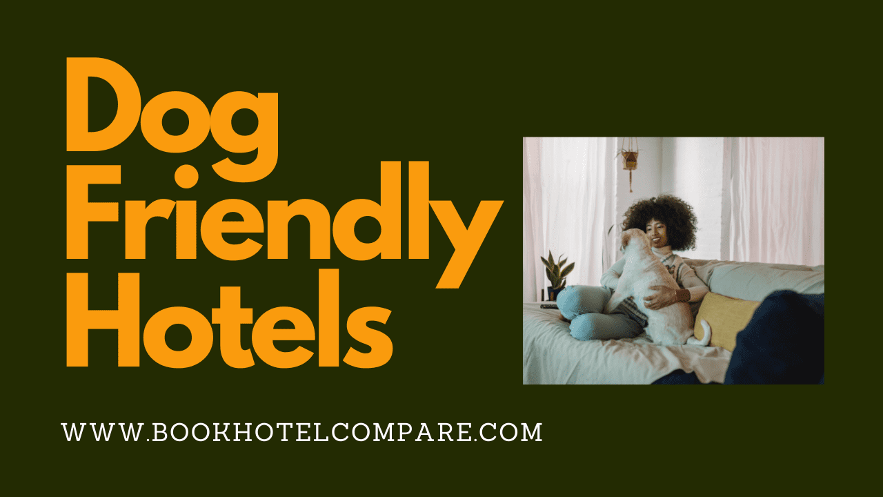 Top Low Cost Pet Friendly Hotels Near Me in USA Upto 80 Off