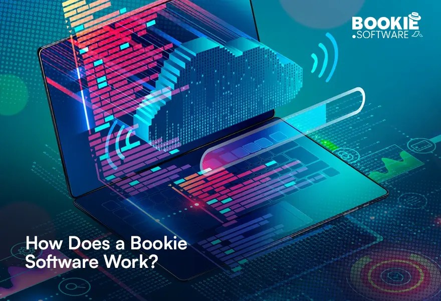 How Does Bookie Software Work? 3 Things You Should Know 1 Per Head