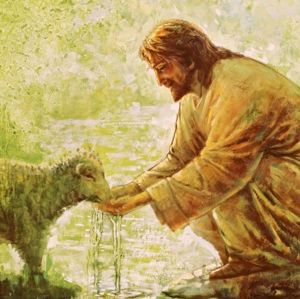 Why Is Jesus Called “the Good Shepherd?” Book of Mormon Study Notes