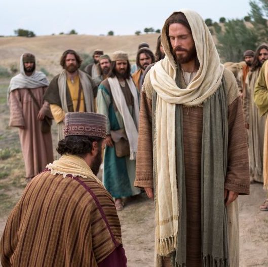 Why Is Jesus Called “the Author and the Finisher of Our Faith?” Book