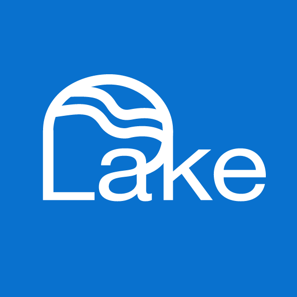 Lake Imaging Book Radiology