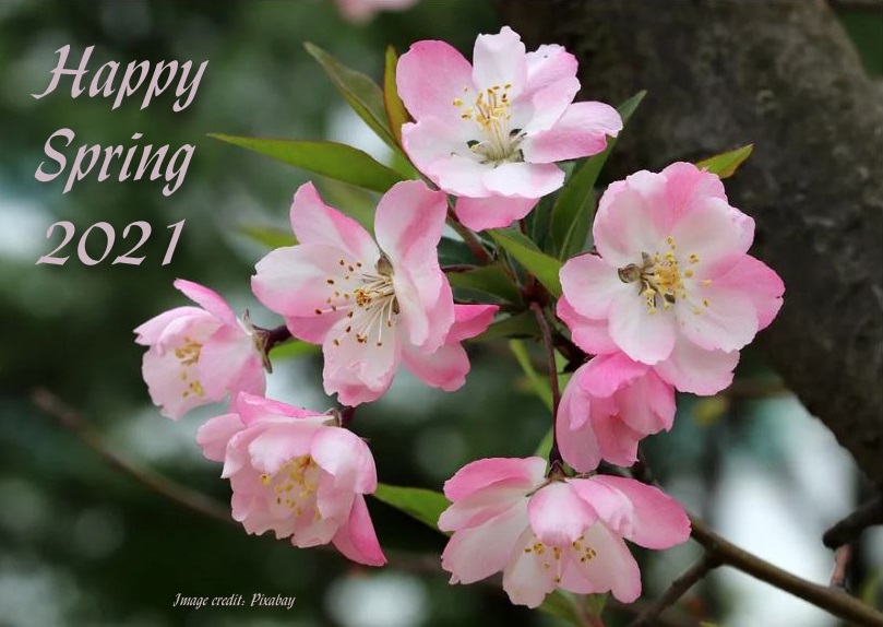 April 2021 is Blooming Strong at Books by Rose! Spring Acostic Poems